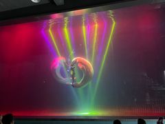 -芜湖新华联大白鲸海洋公园