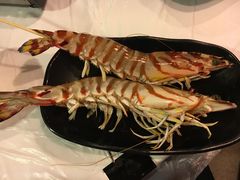 -鲜入围煮花胶鸡海鲜火锅