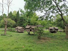 -上海野生动物园