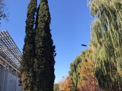 -东北农业大学