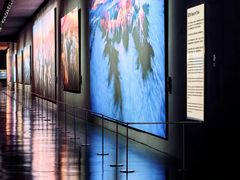 -罗红摄影艺术馆