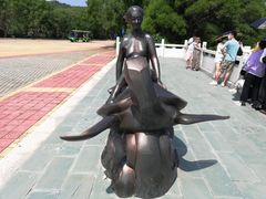 -广东惠东海龟国家级自然保护区