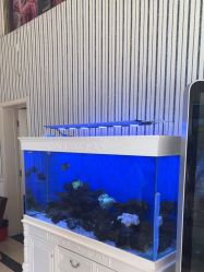 -爱儿美儿童摄影(五路居花园别墅店)