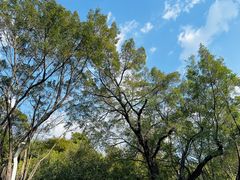 -人民公园(罗湖区)