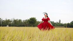 -金夫人婚纱摄影(华南店)