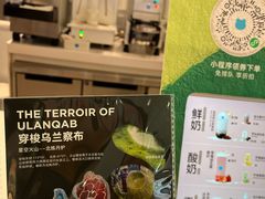 -兰熊鲜奶(西直门凯德mall店)