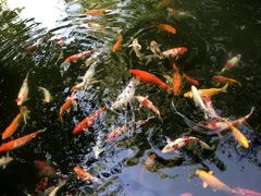 -春风习习