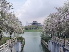 -海珠湖公园