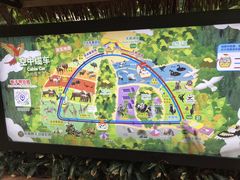 -广州长隆国际大马戏