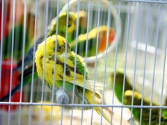 IMG_0720-鲤鱼山公园