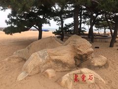 -老虎石海上公园