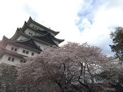 -名古屋城