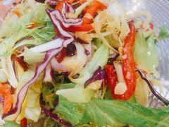 草原大拌菜-草本味·市井羊肉馆(新开铺总店)