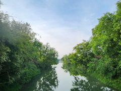 -西溪国家湿地公园