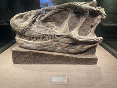 -自贡恐龙博物馆