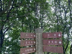 -广州市帽峰山景区