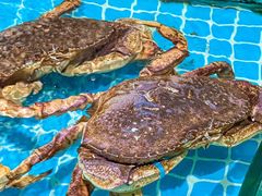 -梦都海鲜酒家(万达广场江桥店)