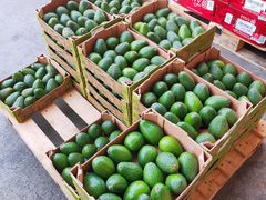 -东方鼎信农副产品交易中心