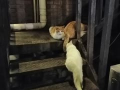 -北京水岸山吧度假村(雁栖镇店)