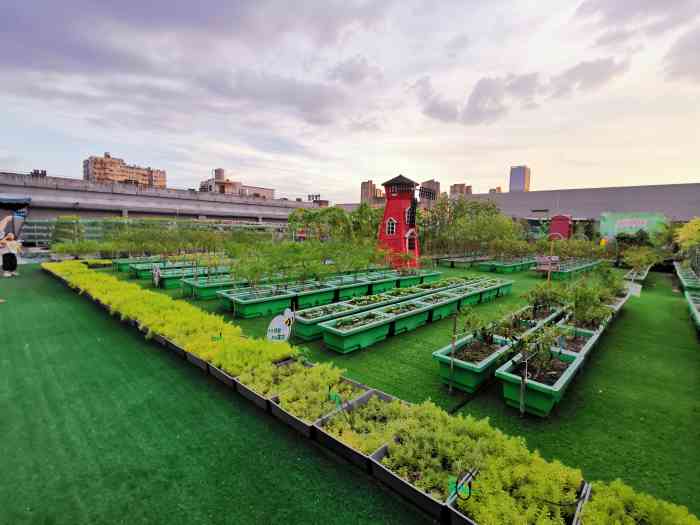 凯德广场屋顶农场-"天气热了,屋顶农场没什么人,基本都是带孩.