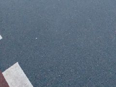 -武汉知音号