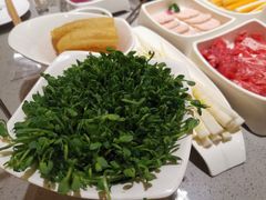 豆苗-海底捞火锅(铂澜大象城店)