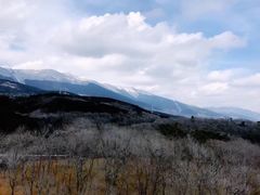 -富士山吉田線五合目