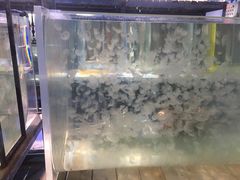 -梦幻海洋王国(吾悦广场张家港店)