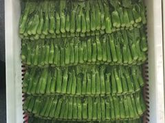 -甘肃国际会展中心