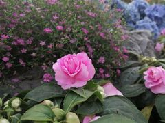 -人民公园(罗湖区)