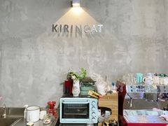 -十年猫舍·猫咪专门店(普陀店)