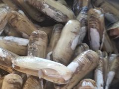 -天盛海鲜烧烤城·特色烤海鲜(开发区店)