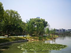 -后襄河公园