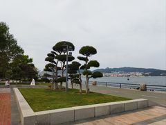 -幸福门