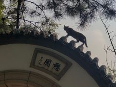 -南山公园