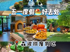 -佛冈森波拉度假区