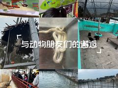 -西霞口神雕山野生动物世界