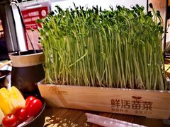 -湊湊火锅·茶憩(杭州湖滨银泰in77店)