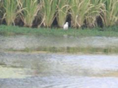 -呈贡滇池生态湿地公园