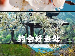 -九如山休闲旅游度假区