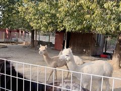 -武汉紫薇都市田园