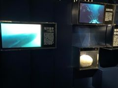 -同济大学四平路校区深海探索馆