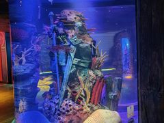 -沈阳海洋探索中心