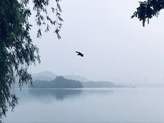 -西湖外事游船(湖滨二公园外事游船码头)