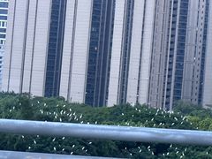 -文华公园(禅城区)