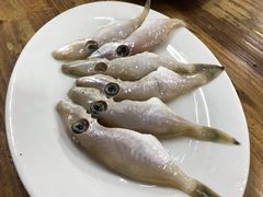 -肥婆麻辣火锅.顺德首创药材麻辣火锅(容桂店)
