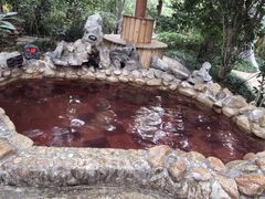 -深业半汤御泉庄温泉