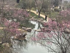 -无锡梅园公园