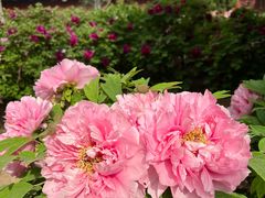 -大钟寺古钟博物馆