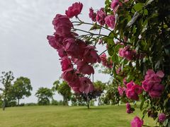 -广富林郊野公园